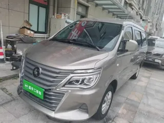 Dongfeng Fengxing Lingzhi 2024