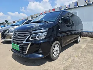 Dongfeng Fengxing Lingzhi 2023