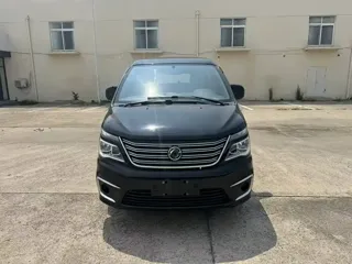 Dongfeng Fengxing Lingzhi 2021 купить из Китая, цена 1 267 000 ₽ — Suifenhe Auto
