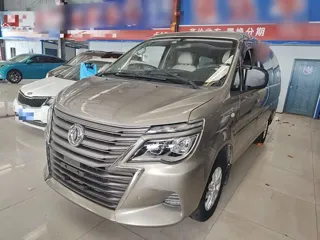 Dongfeng Fengxing Lingzhi 2020