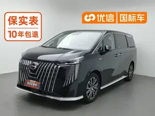 GAC Trumpchi M8 2024 купить из Китая, цена 4 381 000 ₽ — Suifenhe Auto