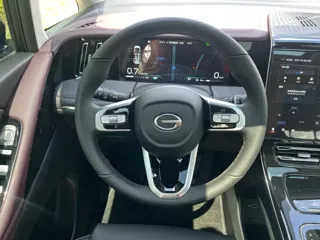 GAC Trumpchi M8 2025 купить из Китая, цена 4 877 000 ₽ — Suifenhe Auto