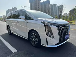 GAC Trumpchi M8 2024 купить из Китая, цена 4 488 000 ₽ — Suifenhe Auto