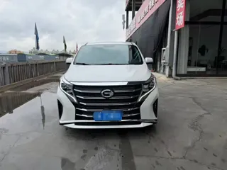 GAC Trumpchi M8 2024 купить из Китая, цена 4 121 000 ₽ — Suifenhe Auto