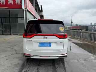 GAC Trumpchi M8 2024 купить из Китая, цена 4 121 000 ₽ — Suifenhe Auto
