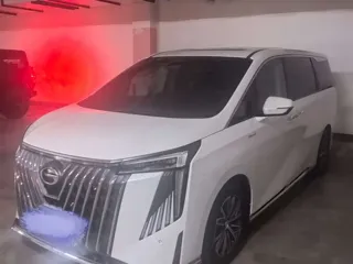 GAC Trumpchi M8 2024 купить из Китая, цена 4 827 000 ₽ — Suifenhe Auto