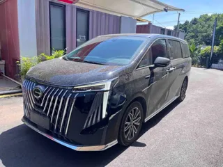 GAC Trumpchi M8 2024 купить из Китая, цена 4 539 000 ₽ — Suifenhe Auto