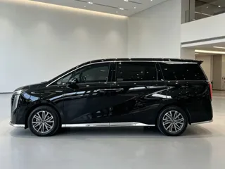 GAC Trumpchi M8 2024 купить из Китая, цена 4 446 000 ₽ — Suifenhe Auto