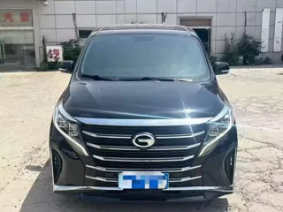 GAC Trumpchi M8 2024 купить из Китая, цена 4 202 000 ₽ — Suifenhe Auto