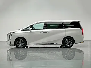 GAC Trumpchi M8 2024 купить из Китая, цена 4 564 000 ₽ — Suifenhe Auto