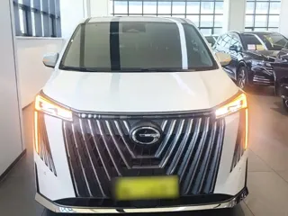 GAC Trumpchi M8 2024 купить из Китая, цена 5 036 000 ₽ — Suifenhe Auto