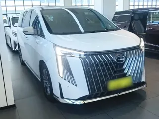 GAC Trumpchi M8 2024 купить из Китая, цена 5 036 000 ₽ — Suifenhe Auto