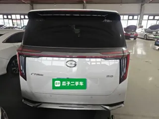GAC Trumpchi M8 2024 купить из Китая, цена 4 497 000 ₽ — Suifenhe Auto
