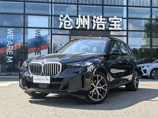 BMW X5 2025 купить из Китая, цена 10 163 000 ₽ — Suifenhe Auto