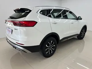 Haval H6 2023 купить из Китая, цена 1 436 000 ₽ — Suifenhe Auto