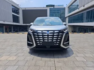 Denza D9 2024 купить из Китая, цена 5 558 000 ₽ — Suifenhe Auto
