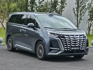 Denza D9 2025 купить из Китая, цена 6 834 000 ₽ — Suifenhe Auto