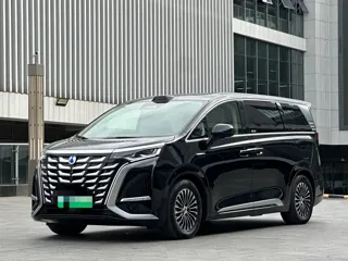 Denza D9 2025 купить из Китая, цена 6 488 000 ₽ — Suifenhe Auto