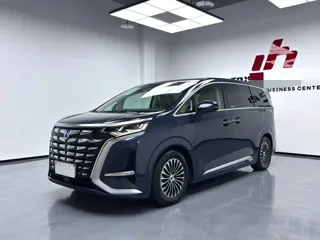 Denza D9 2024 купить из Китая, цена 4 879 000 ₽ — Suifenhe Auto