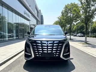 Denza D9 2024 купить из Китая, цена 5 607 000 ₽ — Suifenhe Auto