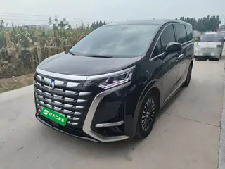 Denza D9 2024 купить из Китая, цена 5 908 000 ₽ — Suifenhe Auto