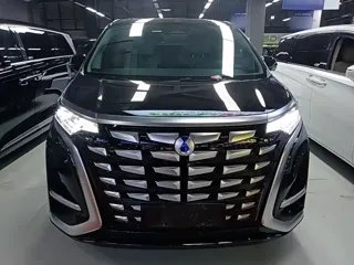 Denza D9 2024 купить из Китая, цена 5 640 000 ₽ — Suifenhe Auto