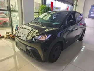 BYD Seagull 2024 купить из Китая, цена 1 245 000 ₽ — Suifenhe Auto