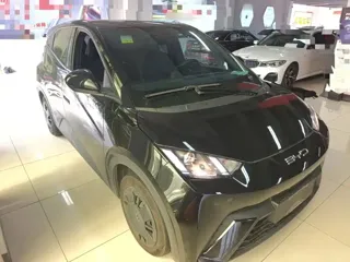 BYD Seagull 2024 купить из Китая, цена 1 245 000 ₽ — Suifenhe Auto