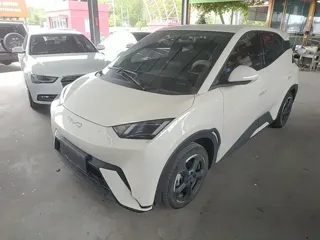 BYD Seagull 2023 купить из Китая, цена 1 408 000 ₽ — Suifenhe Auto