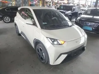 BYD Seagull 2023 купить из Китая, цена 1 408 000 ₽ — Suifenhe Auto
