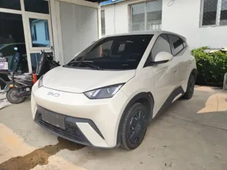 BYD Seagull 2024 купить из Китая, цена 1 263 000 ₽ — Suifenhe Auto