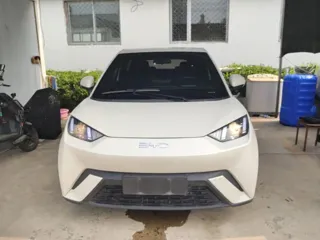 BYD Seagull 2024 купить из Китая, цена 1 263 000 ₽ — Suifenhe Auto