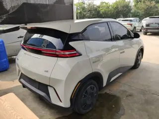 BYD Seagull 2024 купить из Китая, цена 1 263 000 ₽ — Suifenhe Auto