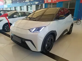 BYD Seagull 2024 купить из Китая, цена 1 352 000 ₽ — Suifenhe Auto
