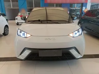BYD Seagull 2024 купить из Китая, цена 1 352 000 ₽ — Suifenhe Auto