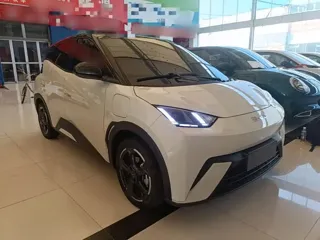 BYD Seagull 2024 купить из Китая, цена 1 352 000 ₽ — Suifenhe Auto