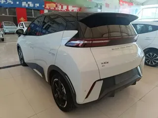 BYD Seagull 2024 купить из Китая, цена 1 352 000 ₽ — Suifenhe Auto