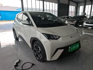 BYD Seagull 2025 купить из Китая, цена 1 419 000 ₽ — Suifenhe Auto