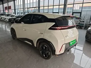 BYD Seagull 2025 купить из Китая, цена 1 419 000 ₽ — Suifenhe Auto