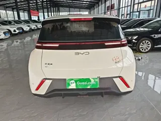 BYD Seagull 2025 купить из Китая, цена 1 419 000 ₽ — Suifenhe Auto