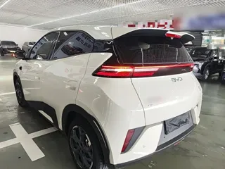 BYD Seagull 2026 купить из Китая, цена 1 554 000 ₽ — Suifenhe Auto