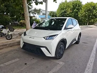 BYD Seagull 2025 купить из Китая, цена 1 334 000 ₽ — Suifenhe Auto