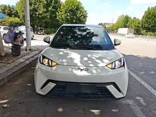 BYD Seagull 2025 купить из Китая, цена 1 334 000 ₽ — Suifenhe Auto