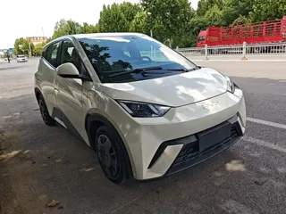 BYD Seagull 2025 купить из Китая, цена 1 334 000 ₽ — Suifenhe Auto
