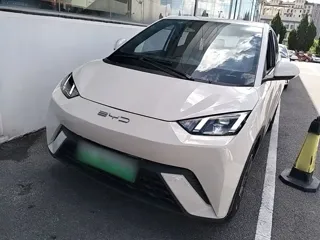 BYD Seagull 2024 купить из Китая, цена 1 285 000 ₽ — Suifenhe Auto