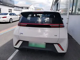 BYD Seagull 2024 купить из Китая, цена 1 285 000 ₽ — Suifenhe Auto