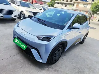 BYD Seagull 2024 купить из Китая, цена 1 269 000 ₽ — Suifenhe Auto