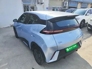 BYD Seagull 2024 купить из Китая, цена 1 269 000 ₽ — Suifenhe Auto