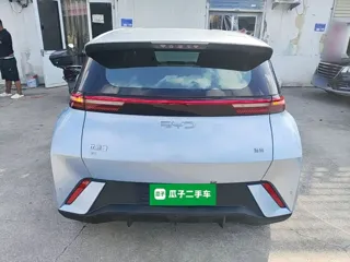 BYD Seagull 2024 купить из Китая, цена 1 269 000 ₽ — Suifenhe Auto