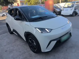 BYD Seagull 2024 купить из Китая, цена 1 287 000 ₽ — Suifenhe Auto